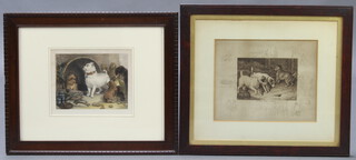 A Victorian coloured print, study of dogs 14cm x 18cm contained in mahogany finished frame together with 1 other monochrome print "Rough and Ready" 21cm x 26cm 