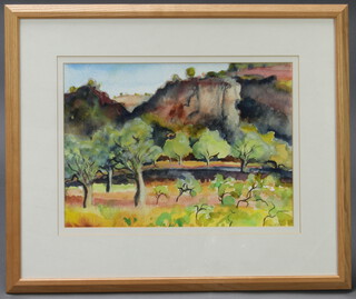 Sue Clark, watercolour signed, "Olive Grove in Morning/Pecos Roads" 31cm x 44cm 