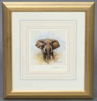 David Shepherd 1929-2005, print, elephant "The Cameo Section" signed in pencil no.276 of 1000 19cm x 16cm 