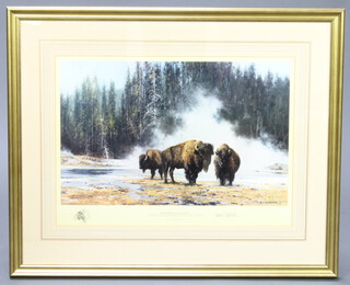 David Shepherd 1929-2005, print signed in pencil, study of Bison, "The Hot Springs of Yellowstone" no.632 of 1500, 40cm x 56cm 