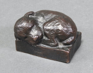 A bronze figure of a sleeping puppy raised on a square base 4cm x 6.5cm x 4.5cm 