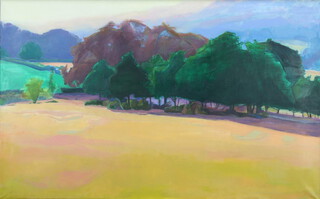 Lisa Micklewright born 1963, oil on canvas, inscribed on verso "A Summer Copse" 64cm x 101cm 