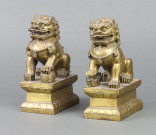 A pair of gilt bronze figures of Dogs of Fo raised on rectangular bases 17cm x 7cm x 10cm 