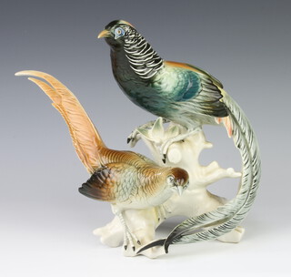 A Continental porcelain figure group of 2 exotic birds 27cm