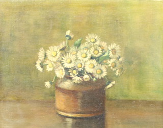 Vera Jannoch, oil on canvas, signed, still life of daisies 19cm x 24cm 