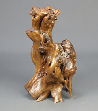 A polished section of rootwood 27cm x 49cm x 26cm  
