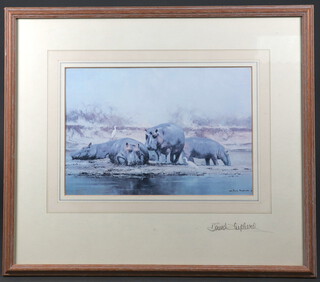 Four David Shepherd coloured prints, "Hippos" 17cm x 25cm signed in the margin, "Standing Rhino" 15cm x 29cm signed in the margin, limited edition print Tigers Head 665/850 with blind proof stamp, signed 19cm x 22cm and 1 other 17cm x 24cm (4)