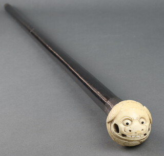 A Meiji period walking cane with a carved ivory knop in the form of a shi shi 