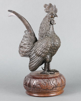 A bronze figure of a standing cockerell raised on an associated hardwood base 40cm h x 17cm 