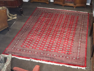 A red and white ground Bokhara carpet with 161 octagons to the centre 351cm x 270cm