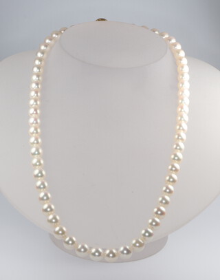 A string of 57, 4mm, cultured pearls with an 18ct yellow gold clasp 