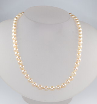 A string of cultured pearls necklace, 40cm 