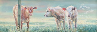 Chris Adams, oil on board "Shall We" study of cattle, the reverse with Aberfeldy Gallery label 15cm x 44cm 