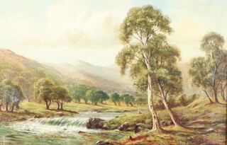 J S, 19th Century oil on canvas, mountain scene with river and trees, figure fishing, monogrammed to left hand corner 29cm x 45cm, label to reverse 