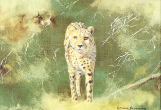 Leonard Pearman 1912-2003, print on canvas, study of a standing leopard, 16cm x 24cm, the reverse with Fraser Carver Gallery label 