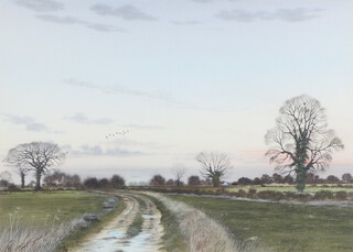 Peter Hayman (b 1930), watercolour, Suffolk scene with track and birds flying, signed to bottom right corner 25cm x 35cm, reverse with Fraser Gallery label  