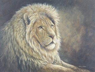 Mark Chester 1960, acrylic drawing of a lion 34cm x 45cm, signed, the reverse with Mark Chester Gallery label 