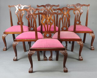 A set of 6 Chippendale style mahogany dining chairs with vase shaped slat backs and upholstered drop in seats, raised on cabriole ball and claw supports 97cm h x 57cm w x 47cm d (some scratches in places)