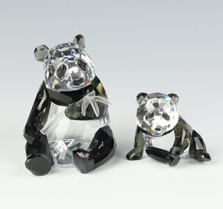 A Swarovski Crystal Society figure of a seated panda holding a bamboo shoot 9cm, ditto of a cub 6cm, boxed 
