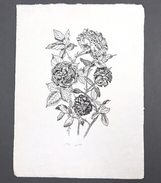 John Northcote Nash (1893-1977) woodcut, botanical study, 1 35/65, signed and inscribed in pencil, 50cm x 37cm, unframed