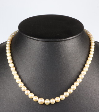 A graduated cultured pearl necklace with a 9ct yellow gold cabochon garnet and pearl clasp 40cm 
