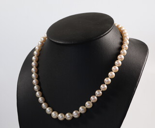 A strand of cultured pearls with a 9ct white gold diamond set clasp 44cm 