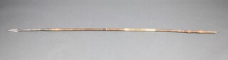 An antique leaf shaped spear with 8cm x 3cm point 