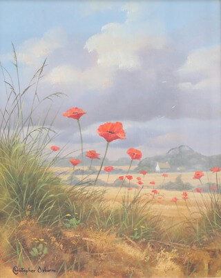 Christopher Osborne (born 1947), oil on board signed, a poppy field, the reverse with Forest Gallery label 23cm x 19cm 