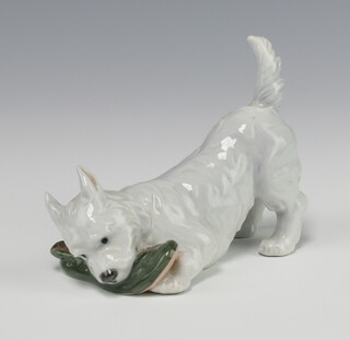 A Royal Copenhagen figure of a puppy playing with a slipper 145, 9cm 