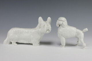 A German white glazed figure of a terrier 12cm, a ditto of a standard poodle 12cm 