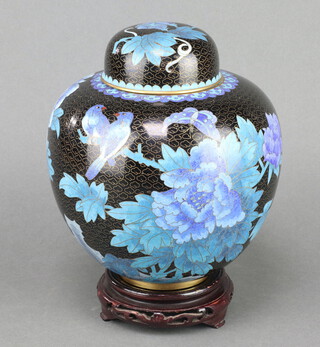 A Chinese black and blue ground cloisonne enamelled ginger jar and cover decorated birds amidst branches complete with hardwood stand  23cm x 18cm 