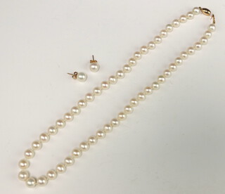 A Beijing cultured pearl necklace with 14k clasp, 44cm, together with a pair of ditto ear studs 