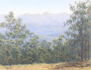 Edna Hely, oil on board signed, mountainous landscape inscribed Barrington Tops Scenery 45cm x 60cm 