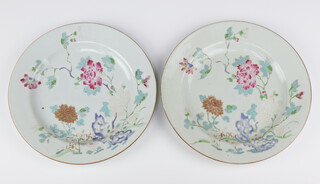 A pair of Chinese export famille rose plates, Qing dynasty, Qianlong period each painted with peony and chrysanthemum amongst rockwork in a fenced garden 22.8cm diameter(2) 