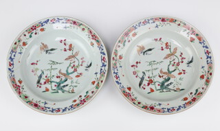 A pair of Chinese export famille rose dishes, Qing dynasty, Qianlong period, each painted with birds perched or flying amongst branches of peony and bamboo