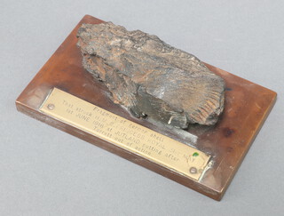 A fragment of German shell which struck HMS Princess Royal 31st May 1916 at Jutland, raised on a perspex base 5cm h x 15cm w x 9cm d  