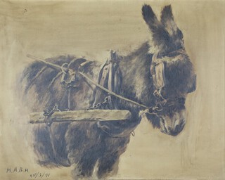 M.A.B.H, 25/3/91, oil on canvas, monogrammed and dated study of a donkey 40cm x 50cm 