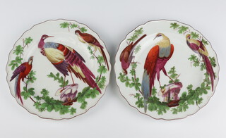 A pair of Chelsea plates circa 1755 decorated exotic birds amongst foliage the central bird perched on rocks, both with red anchor mark, 20.5cm diameter 