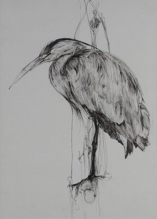 An ink study of a standing heron, unsigned 36cm x 26cm