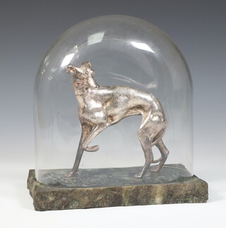 A silver plated figure of a greyhound raised on a marble base with glass dome 17cm 