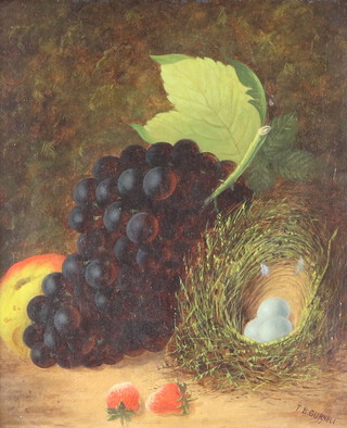 T B Gurnell, oil on board, still life, study of birds nest with eggs and fruits, signed 26cm x 22cm 