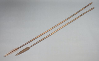 A spear with 22cm leaf shaped blade and 1 other 