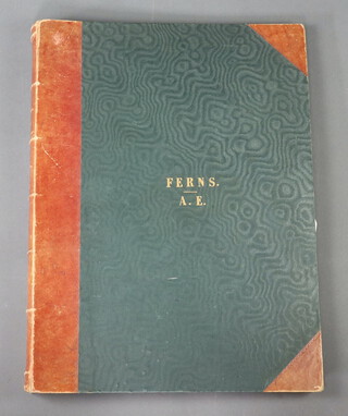 A Victorian folio of approximately 80 pages of fern speciments, half bound in brown calf, the front board with gilt engraving Ferns A.E (Ann Evans, vendors Great Grandmother died 1878) together with a smaller separate folio of 4 pages of specimens of small ferns, together with a collection of pages titled "Specimens of Penmanship by Miss A H Evans, Miss Barlow's School 1848"  