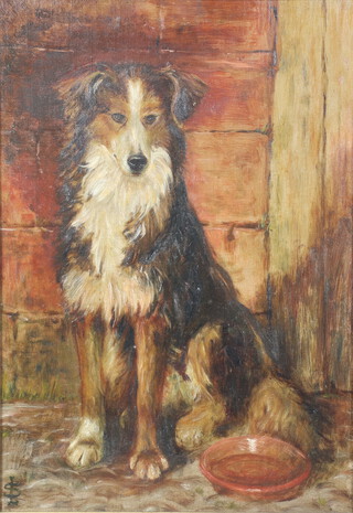 L S, oil on board, study of a Collie beside a water bowl 64cm x 44cm 