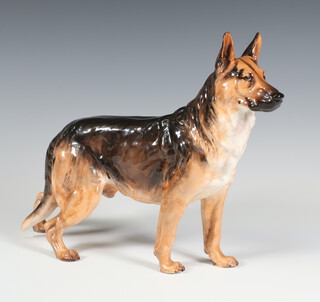 A Royal Doulton standing Alsatian HN1115 Ch. Benign of Picardy 21cm 