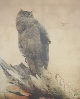 Edward J Detmold (1883-1957), etching "The Great Eagle Owl" 45cm x 37cm 