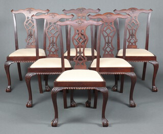 A set of 6 Edwardian mahogany Chippendale style slat back dining chairs with pierced vase shaped slat backs and upholstered drop in seats, raised on cabriole, ball and claw supports 100cm h x 50cm w x 40cm d (seats 25cm x 27cm) 