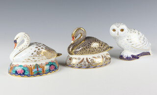 A Royal Crown Derby Imari pattern paperweight - Snowy Owl 9cm, ditto Black Swan no.1422 of 2002 8cm, both with gold stoppers and a swan 10cm with silver stopper, all boxed  