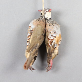 A brace of stuffed and mounted Partridge 29cm 