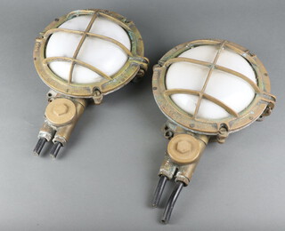 Two circular brass bulk head lights with opaque glass shades marked 5004 230V 24cm 